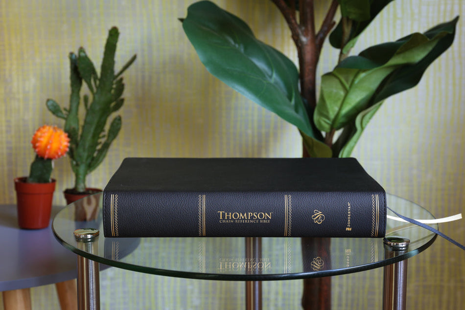 ESV, Thompson Chain-Reference Bible, Large Print, Red Letter – Leathersoft™, Black by HarperCollins, product view 2