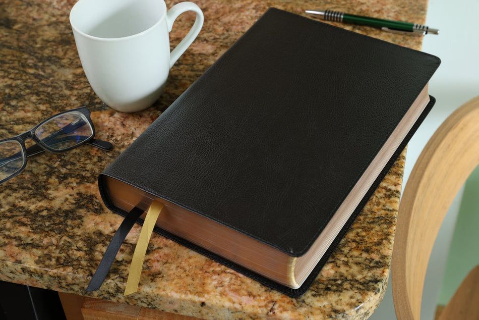 KJV, Thompson Chain-Reference Bible, Large Print, Red Letter, Comfort Print – Bonded Leather, Black, product view 2