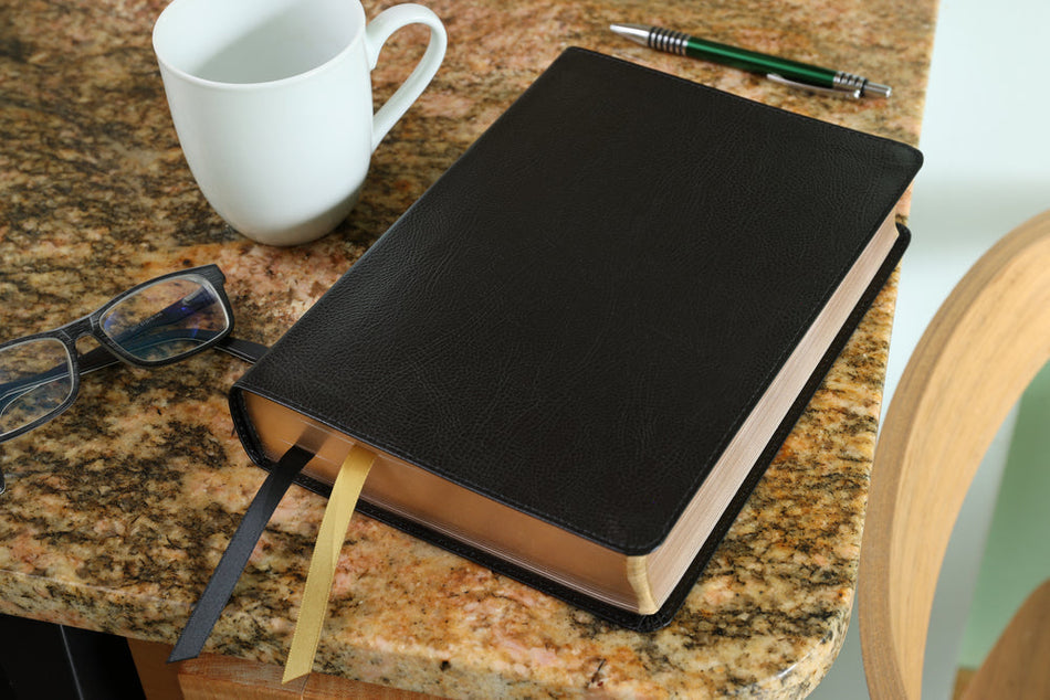 KJV, Thompson Chain-Reference Bible, Red Letter, Comfort Print – Premium Bonded Leather, Black, product view 2