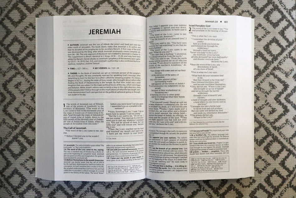 NIV, Basic Study Bible, Economy Edition, Paperback, Blue, Red Letter by HarperCollins, product view 2