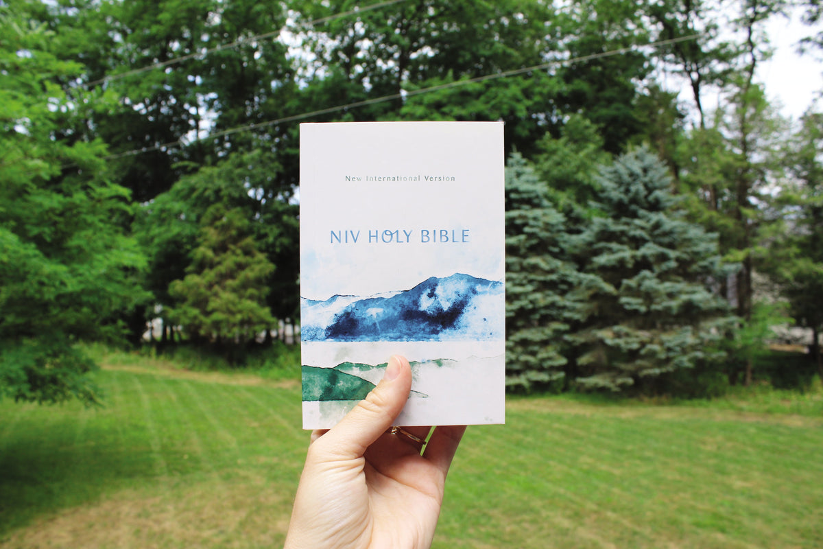 Holy Bible (NIV) - Compact Multi-Color Paperback by HarperCollins, product view 3