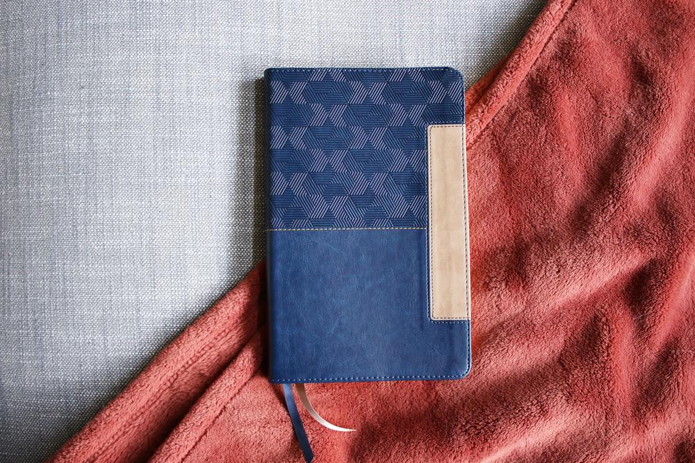 NIV, Thinline Bible, Leathersoft, Red Letter, Comfort Print by HarperCollins, product view 4