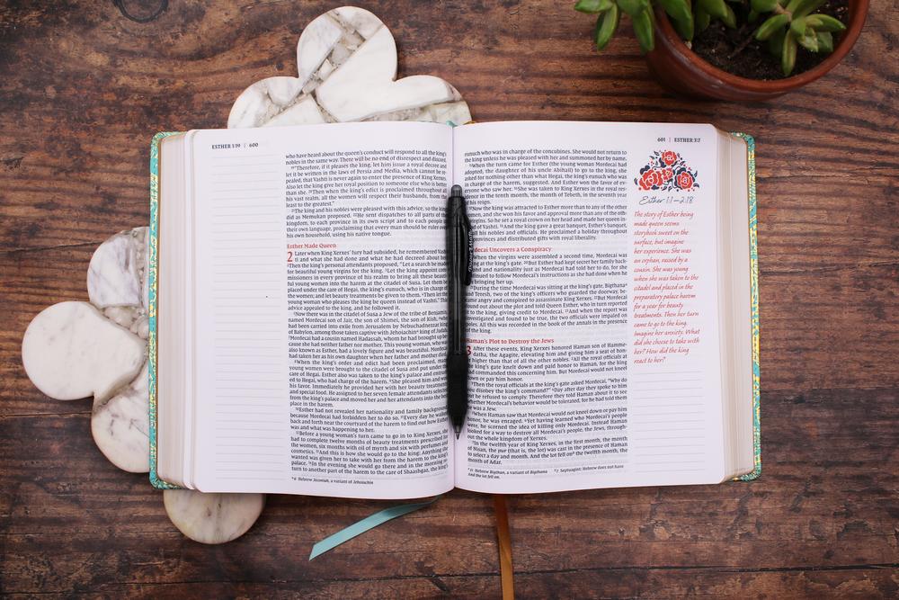 NIV, Journal the Word Bible for Women (Perfect for Note-Taking), Red Letter, Comfort Print: 500+ Prompts to, product view 6