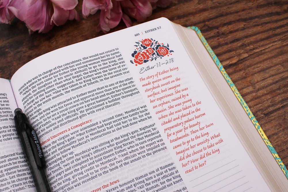 NIV, Journal the Word Bible for Women (Perfect for Note-Taking), Red Letter, Comfort Print: 500+ Prompts to, product view 7