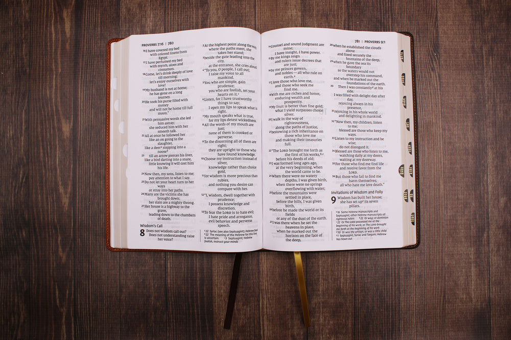 NIV, Thinline Bible, Giant Print, Red Letter, Comfort Print – Leathersoft™, Brown, Thumb Indexed, product view 2