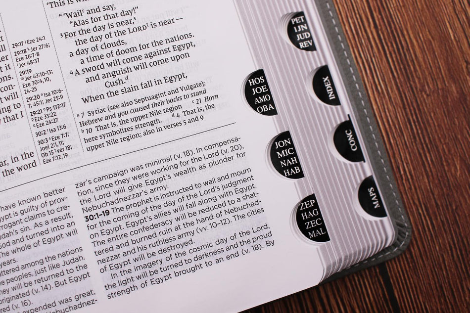 NIV Application Bible, Personal Size, Red Letter, Comfort Print: Bringing the Ancient Message of the Bible, product view 2