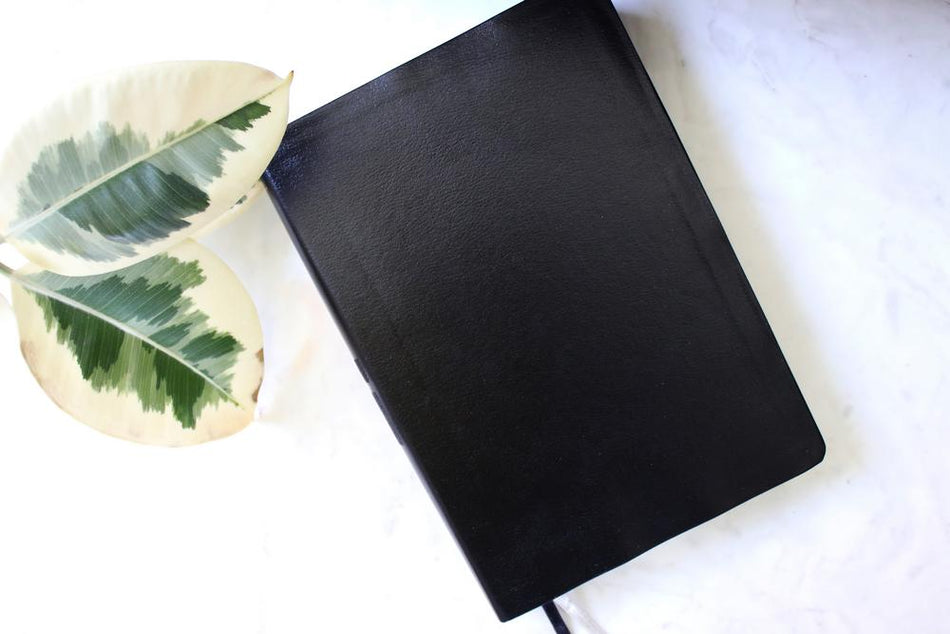 NIV, Quest Study Bible, Comfort Print: The Only Q and A Study Bible – Bonded Leather, Black by HarperCollins, product view 2