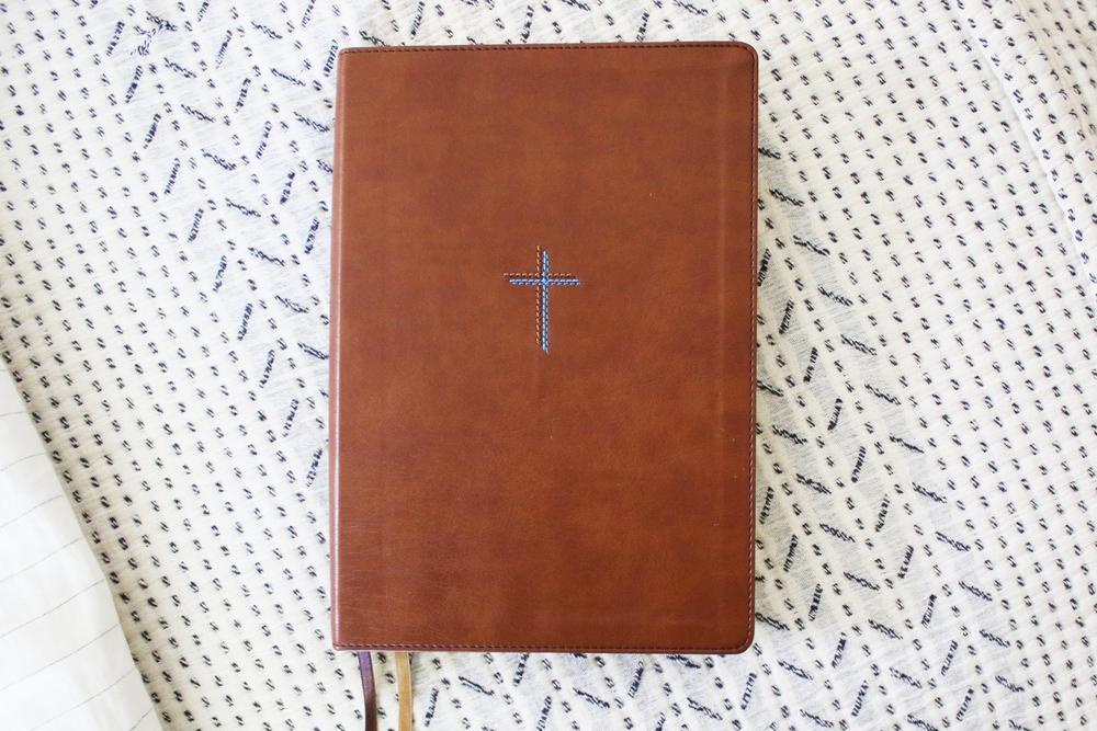 NIV, Quest Study Bible, Comfort Print: The Only Q and A Study Bible – Leathersoft™, Brown (9780310465850), product view 2
