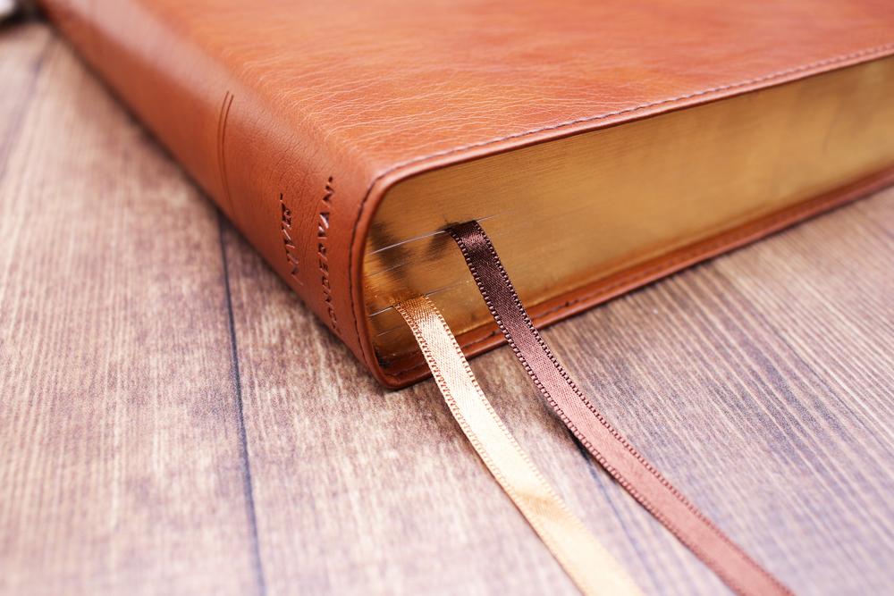 NIV, Quest Study Bible, Comfort Print: The Only Q and A Study Bible – Leathersoft™, Brown (9780310465850), product view 4
