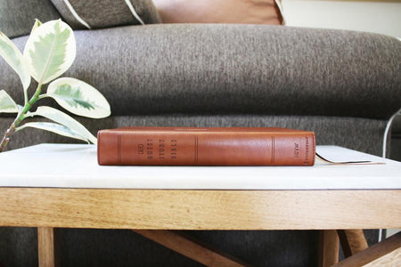 NIV, Quest Study Bible, Comfort Print: The Only Q and A Study Bible – Leathersoft™, Brown (9780310465850), product view 5