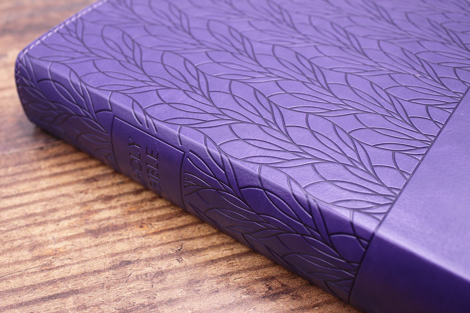 Amplified Holy Bible, Large Print: Captures the Full Meaning Behind the Original Greek and Hebrew, product view 2