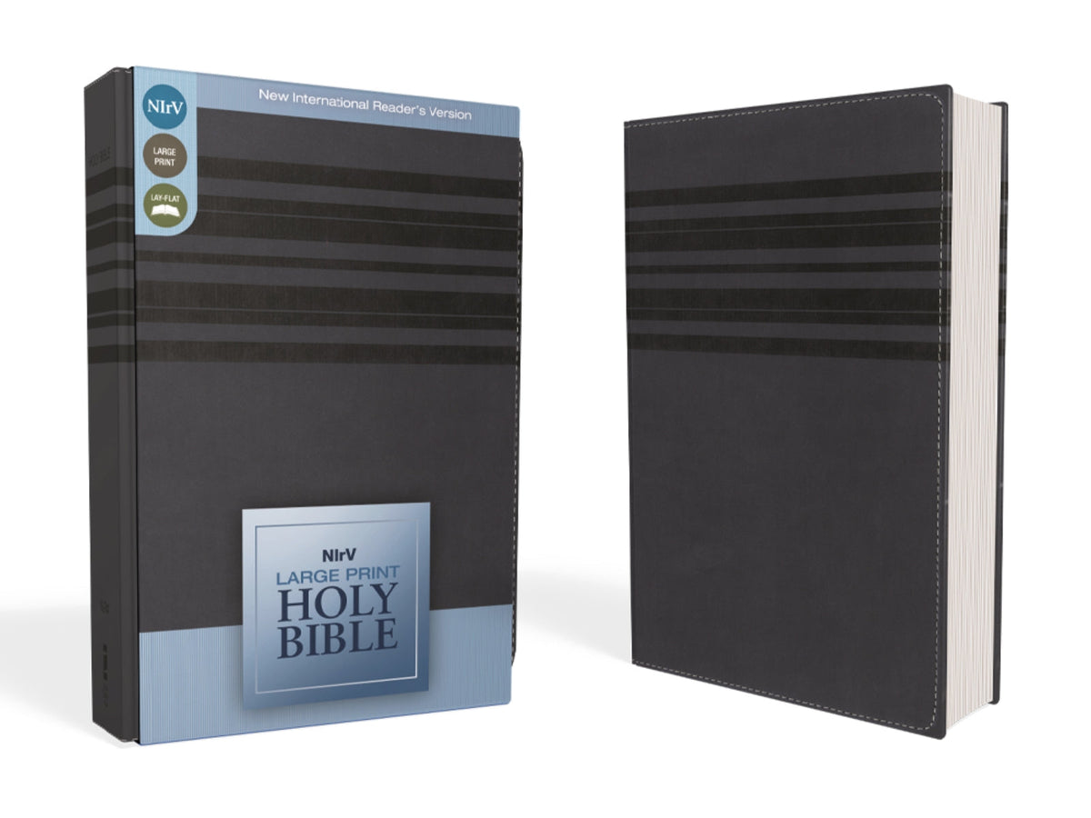 NIrV, Holy Bible, Large Print, Leathersoft – Leathersoft™ Large Print, Slate Blue by HarperCollins
