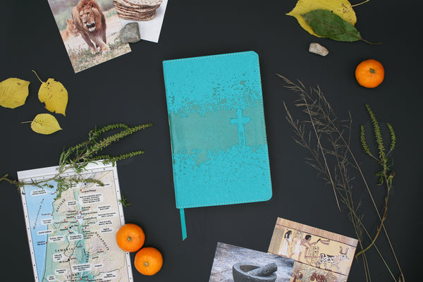 NIV, Kids' Visual Study Bible, Full Color Interior: Explore the Story of the Bible—People, Places, and, product view 2