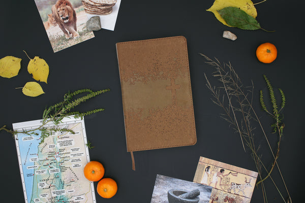 NIV, Kids' Visual Study Bible, Full Color Interior: Explore the Story of the Bible—People, Places, and, product view 2
