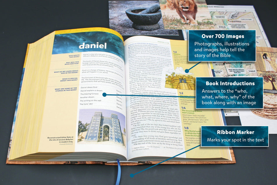 NIV, Kids' Visual Study Bible, Full Color Interior: Explore the Story of the Bible—People, Places, and, product view 2