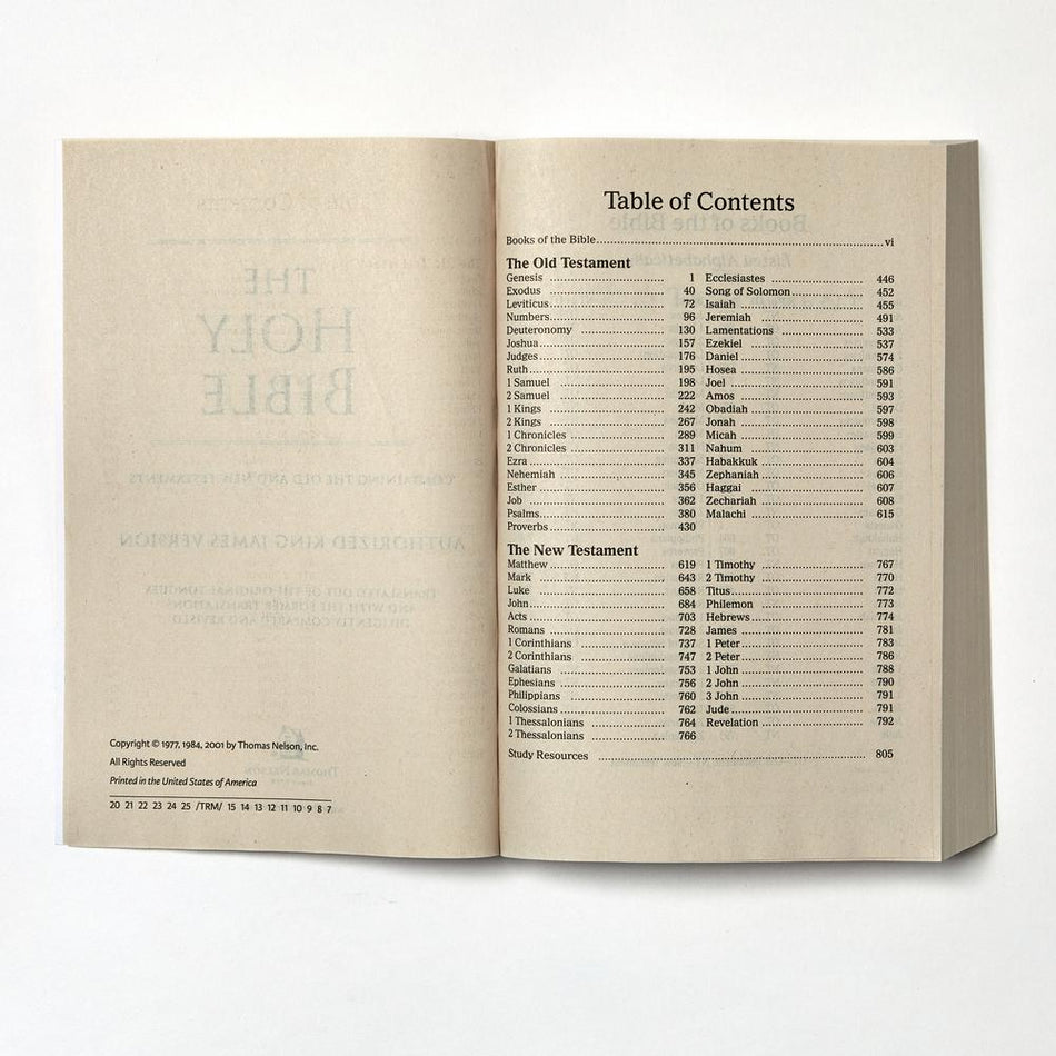 KJV Holy Bible: Value Outreach Paperback: King James Version (Blue Scenic Cover) by HarperCollins, product view 2