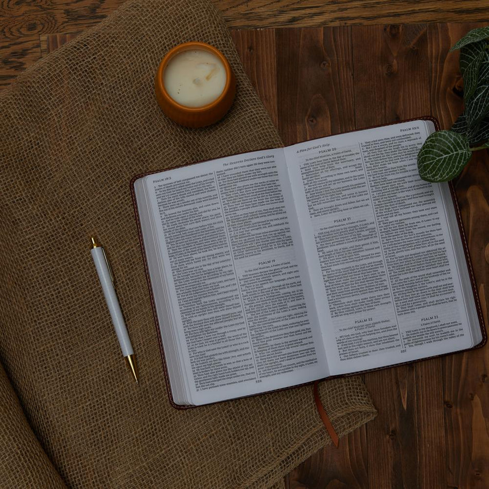 KJV, Deluxe Gift Bible, Red Letter Edition, Comfort Print – Leathersoft™, Gray by HarperCollins, product view 2