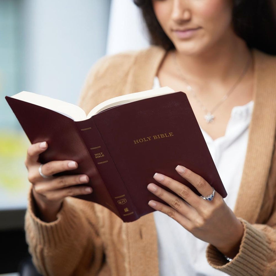 KJV Holy Bible: Gift and Award, Burgundy Leather-Look, Red Letter, Comfort Print: King James Version: Holy, product view 2