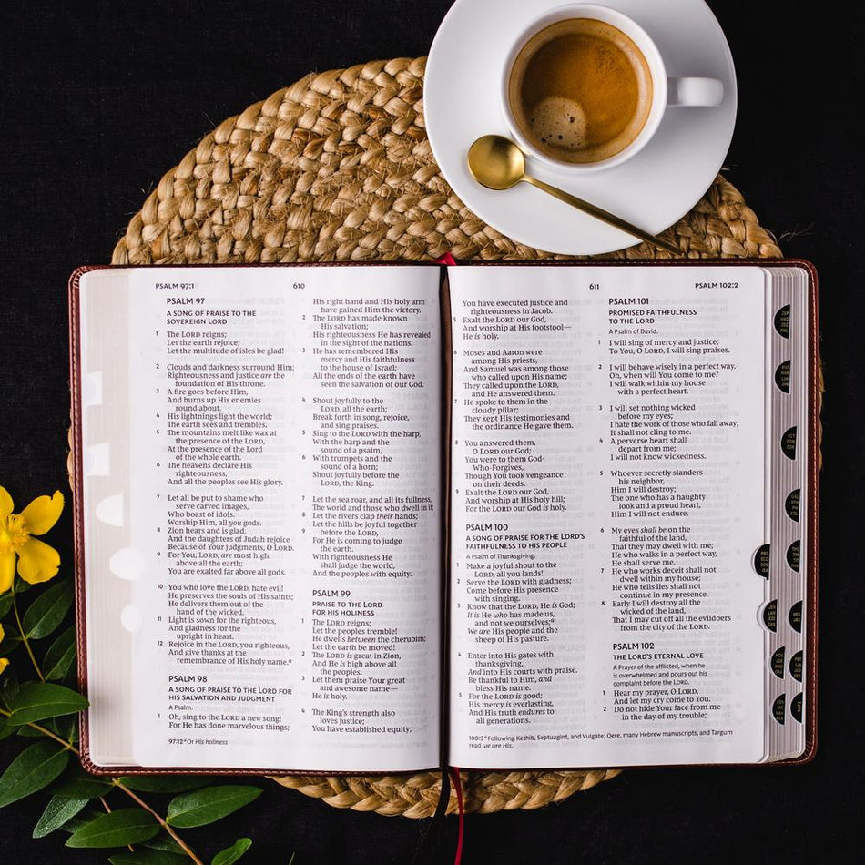 NKJV, Thinline Bible, Giant Print, Red Letter Edition, Comfort Print – Leathersoft™, Brown, Thumb Indexed, product view 2