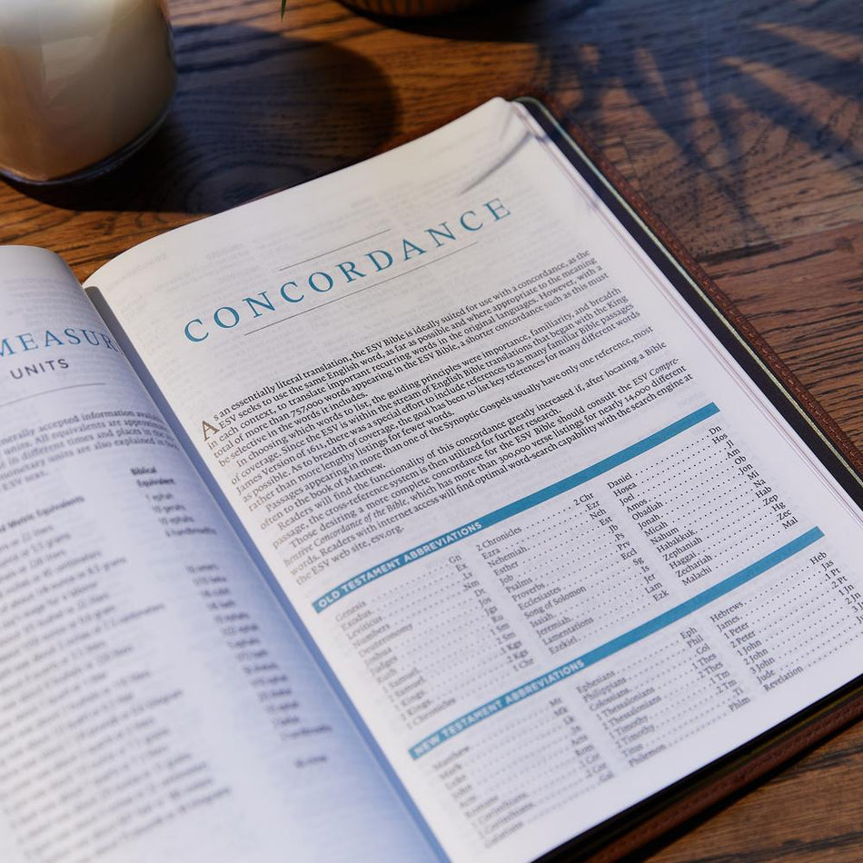 ESV, MacArthur Study Bible, 2nd Edition: Unleashing God's Truth One Verse at a Time, product view 2