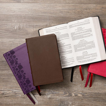 KJV, Personal Size Large Print Single-Column Reference Bible, Red Letter Edition, Comfort Print, product view 6