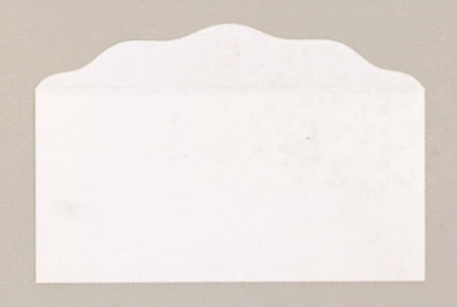 Offering Envelope: White Blank | Bill-Sized | Package of 100 by Broadman and Holman