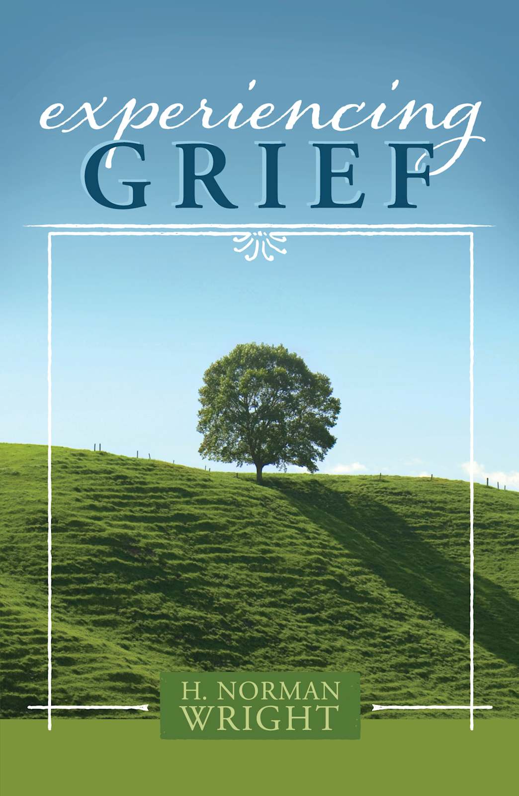 Experiencing Grief by Broadman and Holman