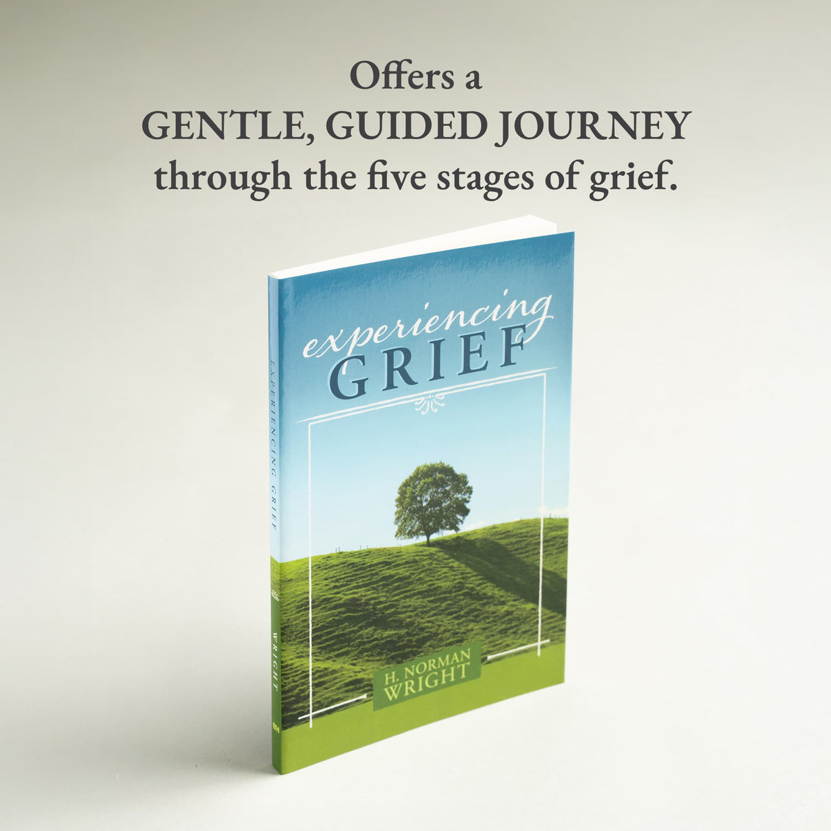 Experiencing Grief by Broadman and Holman, product view 3