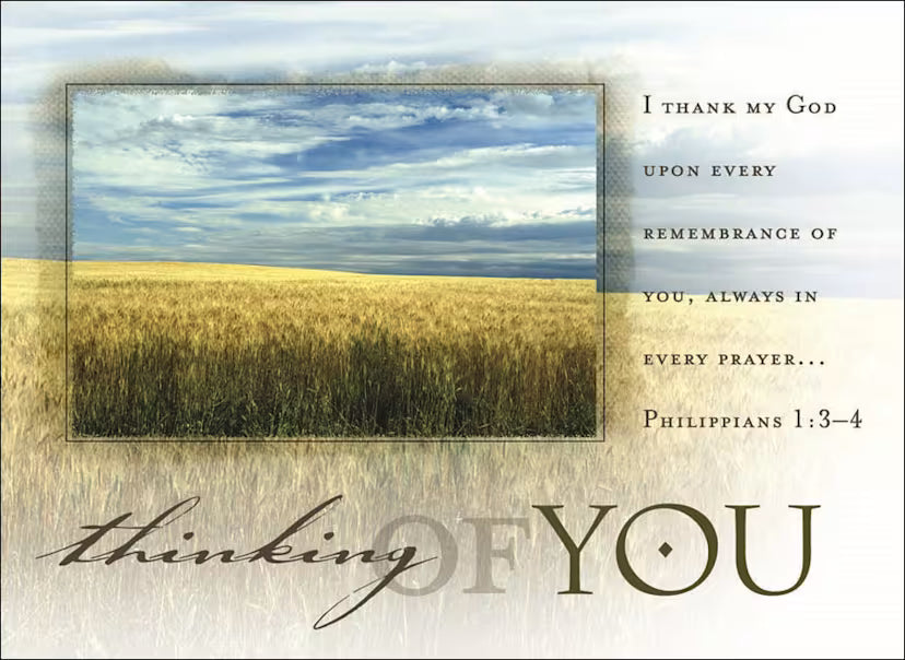 Postcard: Thinking of You (Package of 25): Philippians 1:3-4 (KJV)