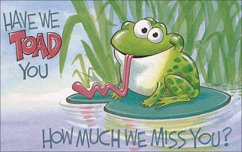 Miss You Postcard: Have We Toad You How Much We Miss You? (Package of 25): Titus 3:15 (NIV)
