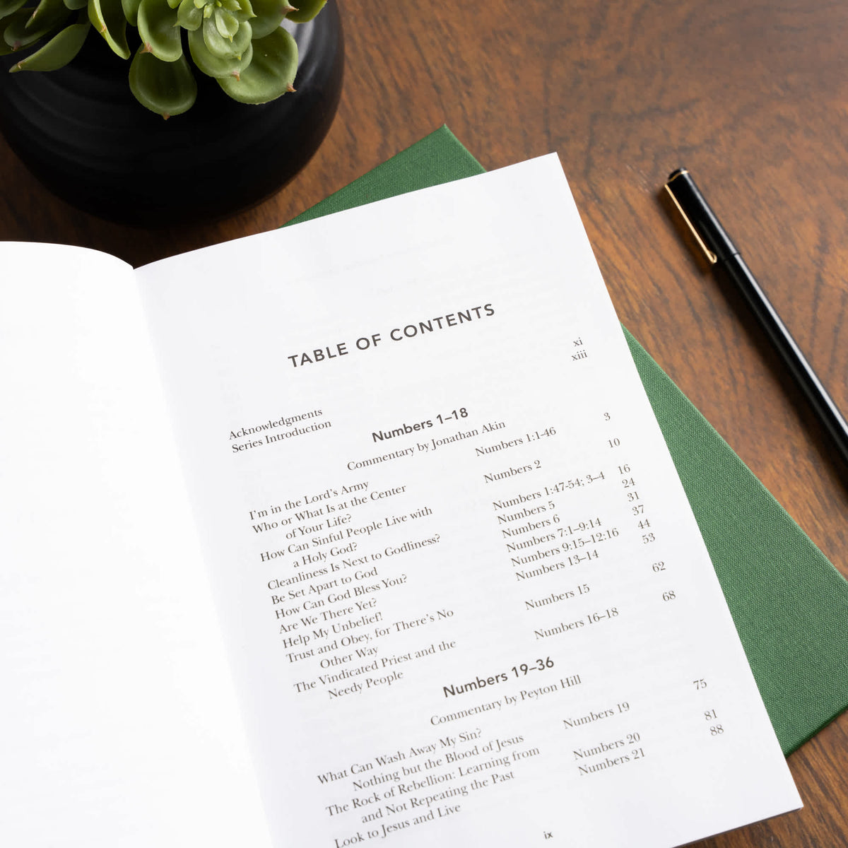 Exalting Jesus in Numbers by Broadman and Holman, product view 4