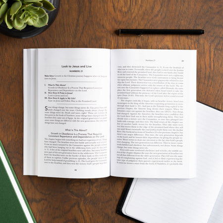 Exalting Jesus in Numbers by Broadman and Holman, product view 5