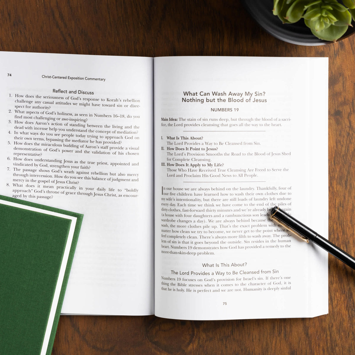 Exalting Jesus in Numbers by Broadman and Holman, product view 6