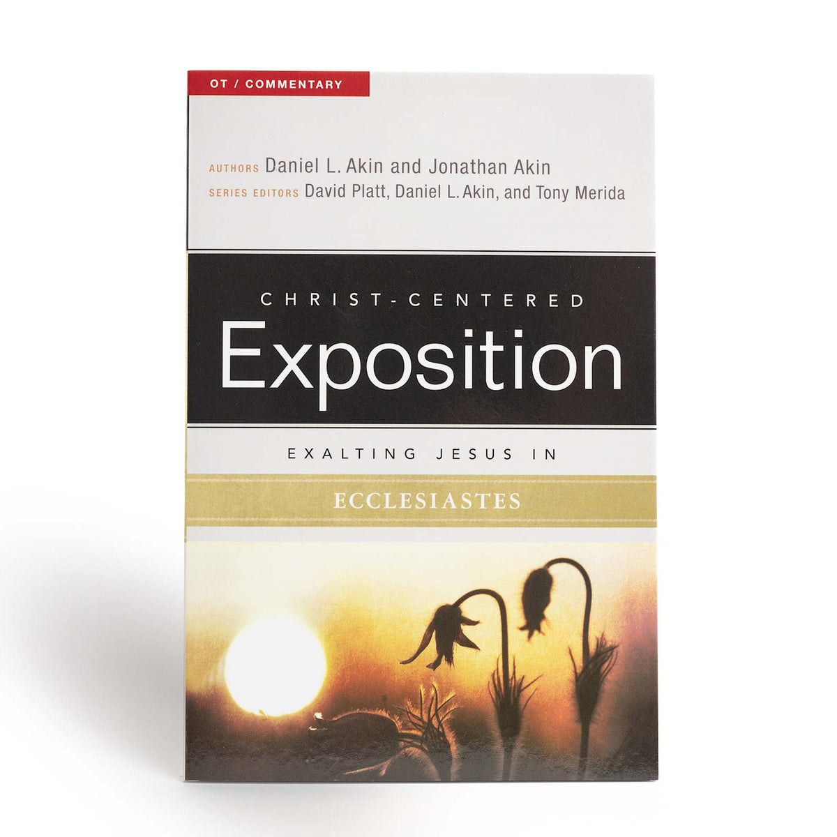 Exalting Jesus in Ecclesiastes by Broadman and Holman