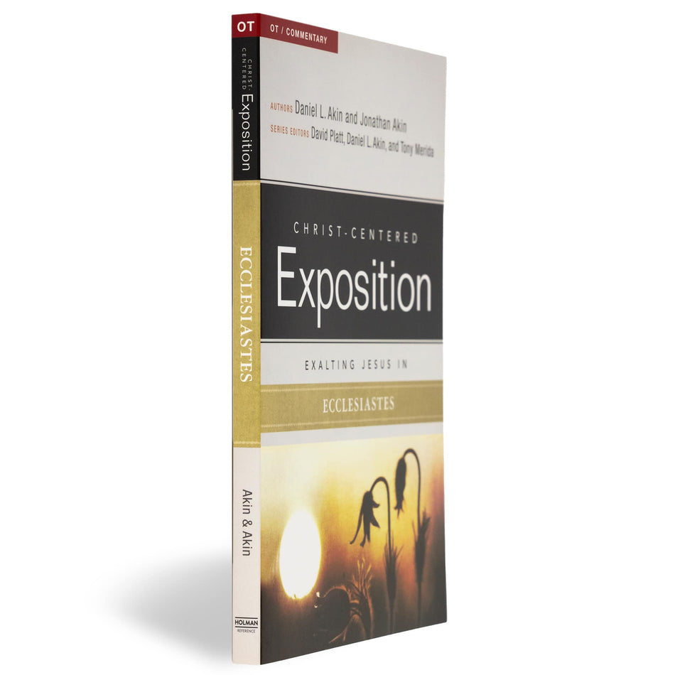 Exalting Jesus in Ecclesiastes by Broadman and Holman, product view 2