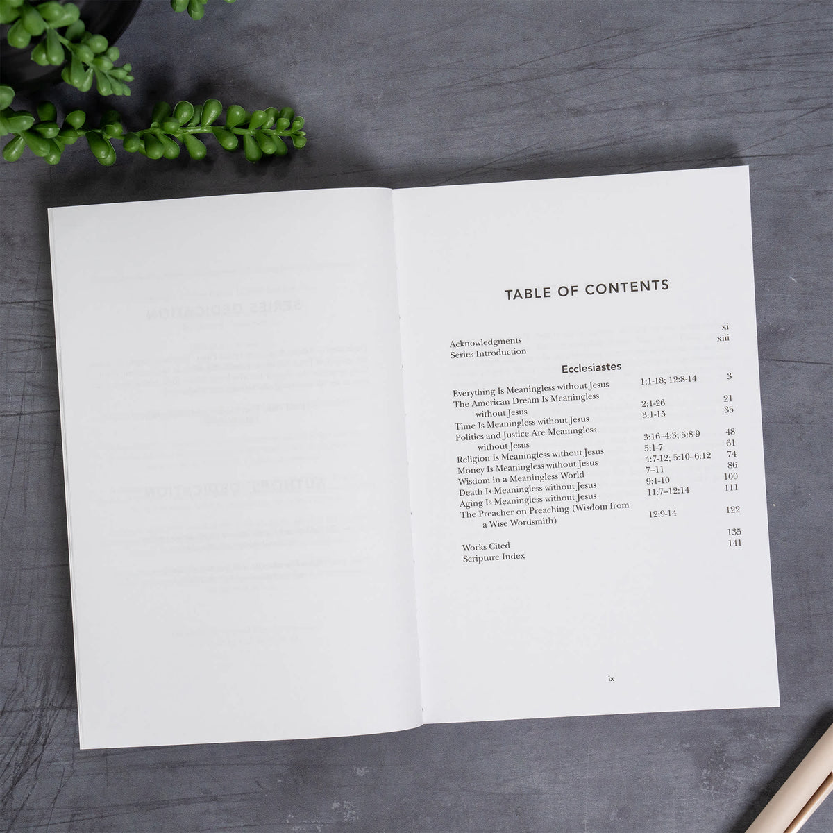 Exalting Jesus in Ecclesiastes by Broadman and Holman, product view 4