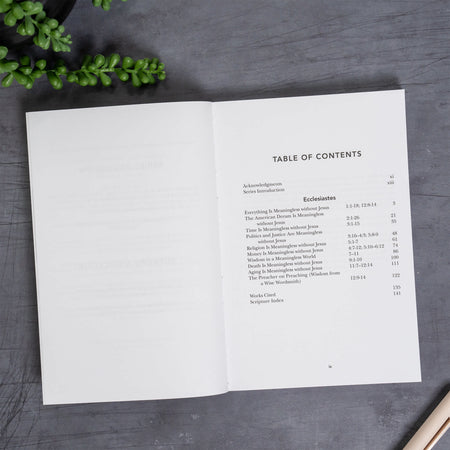 Exalting Jesus in Ecclesiastes by Broadman and Holman, product view 4