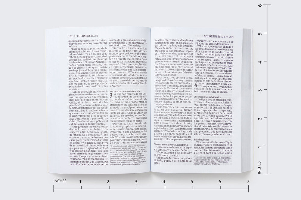 NVI, Nuevo Testamento de bolsillo, con Salmos y Proverbios, Revisión 2022, Tapa Rústica, Luces brillantes, product view 8