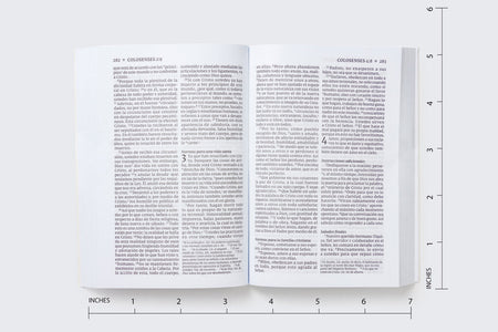 NVI, Nuevo Testamento de bolsillo, con Salmos y Proverbios, Revisión 2022, Tapa Rústica, Luces brillantes, product view 8