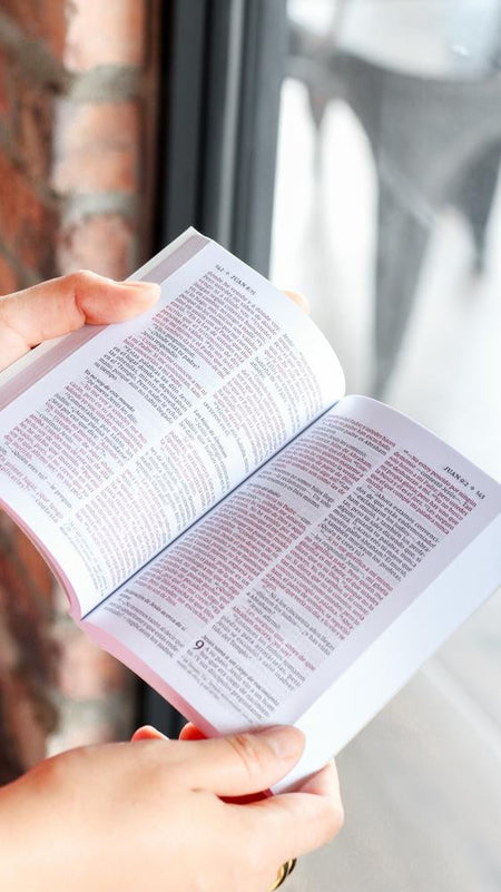 NVI, Nuevo Testamento de bolsillo, con Salmos y Proverbios, Revisión 2022, Tapa Rústica, Luces brillantes, product view 7