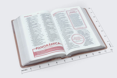 RVR60, Biblia de Estudio para Jóvenes Adolescentes, Leathersoft, Oro Rosa, Palabras de Jesús en Rojo, product view 6