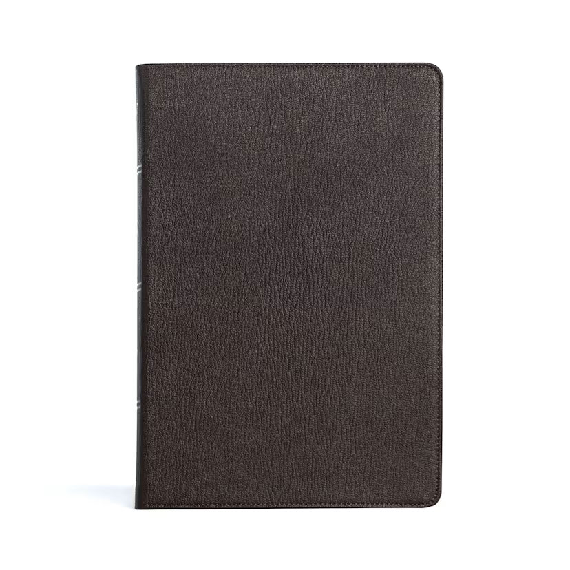 Large Print Thinline Bible (KJV) by Broadman and Holman, product view 2