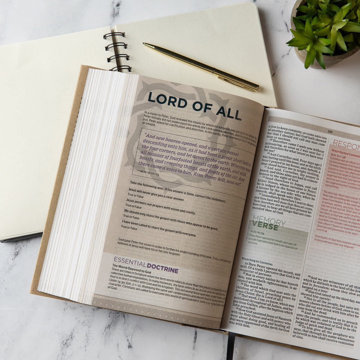 Essential Teen Study Bible (KJV) by Broadman and Holman, product view 7