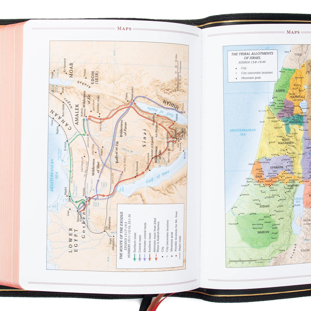Ancient Faith Study Bible (CSB) by Broadman and Holman, product view 4