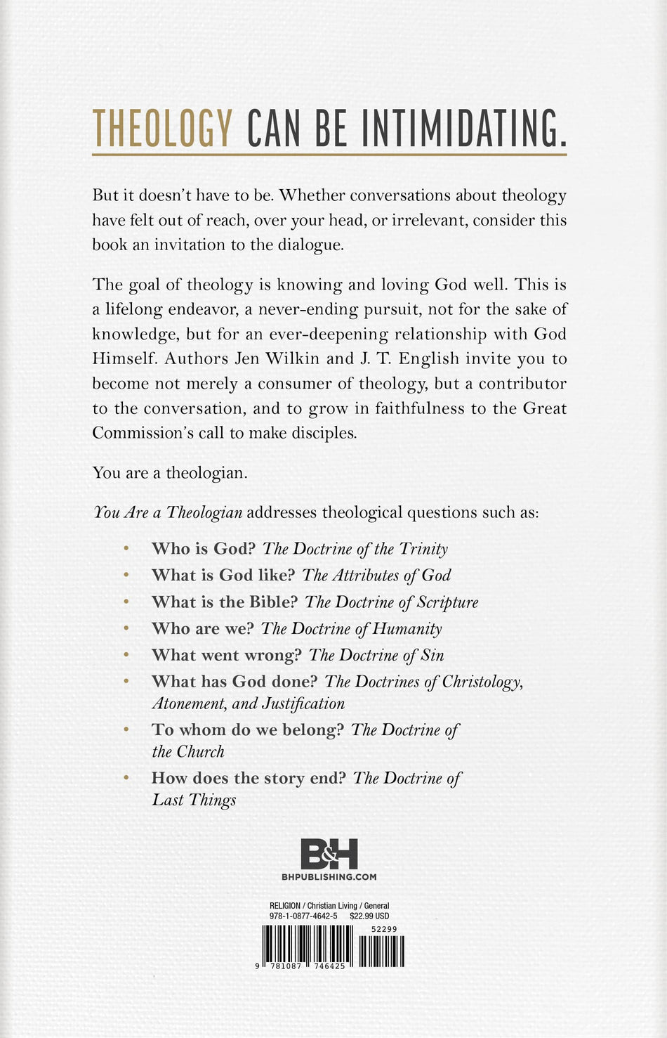 You Are a Theologian by Broadman and Holman, product view 2