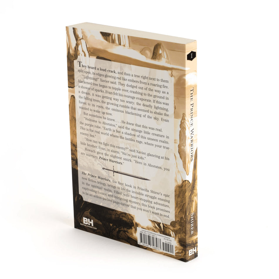 The Prince Warriors (Prince Warriors #1) by Broadman and Holman, product view 2