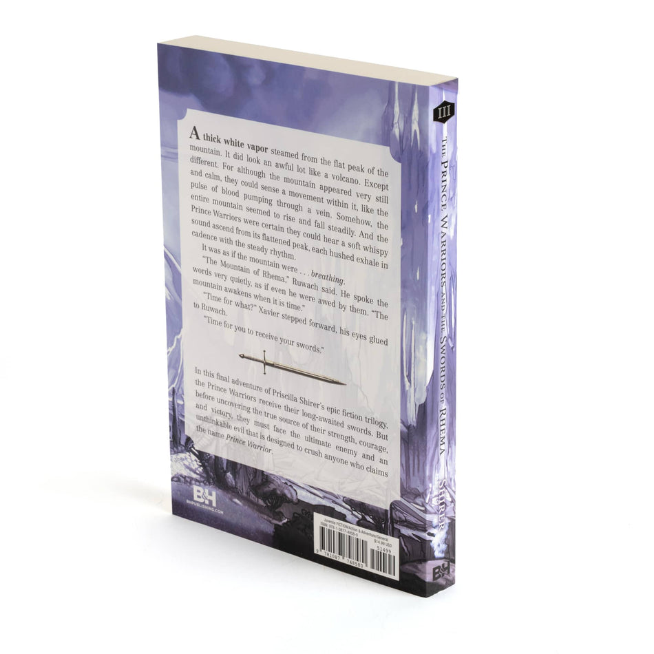The Prince Warriors and the Swords of Rhema by Broadman and Holman, product view 2