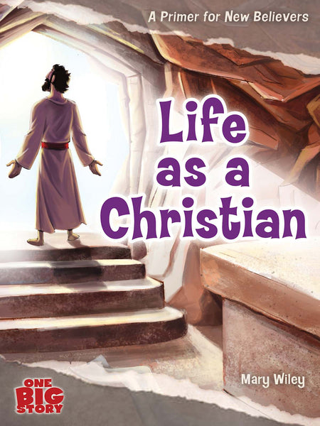 Life as a Christian by Broadman and Holman