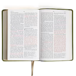 NASB Large Print Personal Size Reference Bible