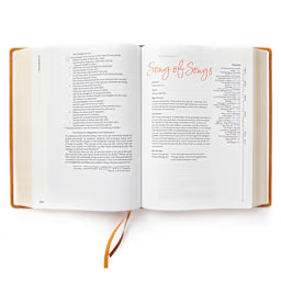 CSB Lifeway Women's Bible
